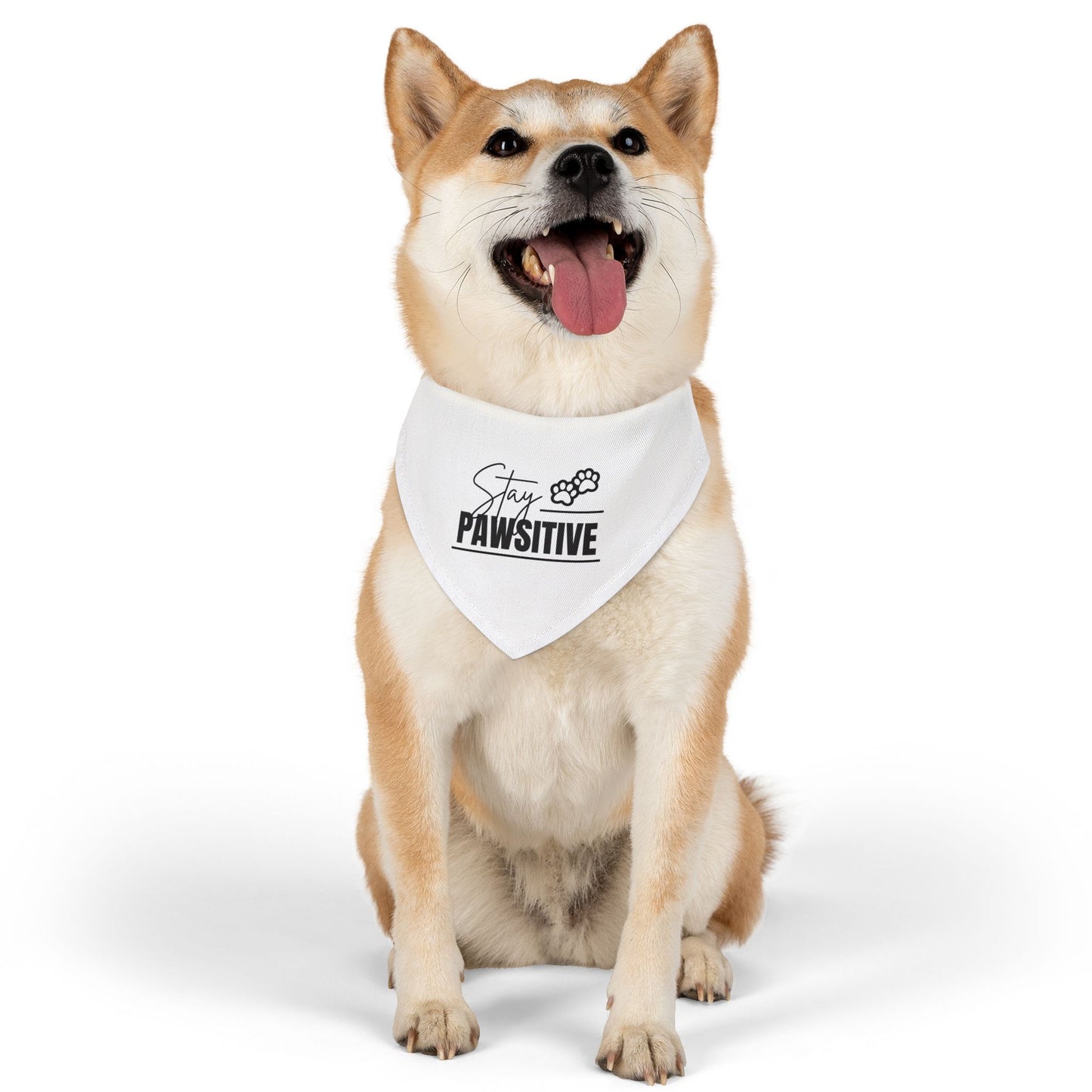 Stay Pawsitive Pet Bandana Collar | Cute Dog Accessory for Happy Pets, Dog Gifts, Pet Fashion, Fun Dogwear