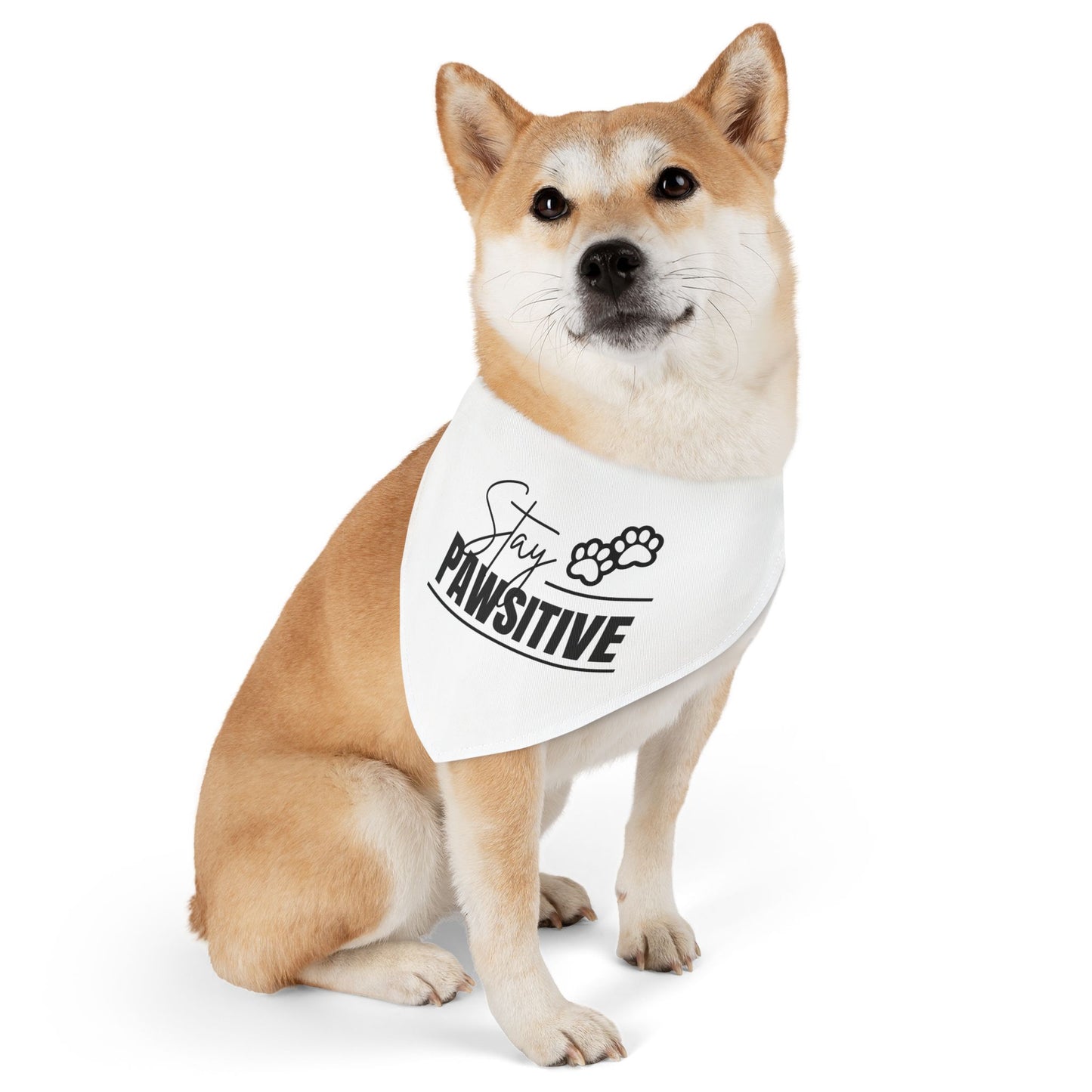Stay Pawsitive Pet Bandana Collar | Cute Dog Accessory for Happy Pets, Dog Gifts, Pet Fashion, Fun Dogwear
