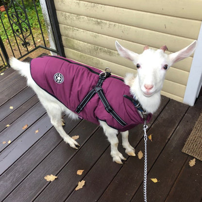Waterproof Pet Clothes Winter Dog Coat With Harness Warm Pet Clothing Big Dog Jacket Chihuahua Labrador Coat Costume