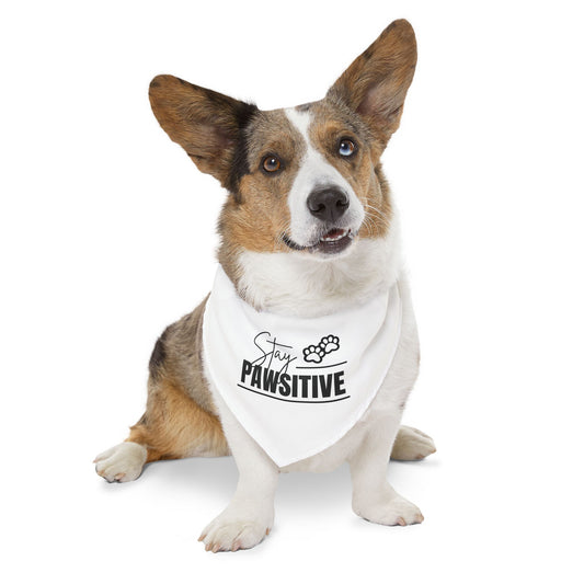Stay Pawsitive Pet Bandana Collar | Cute Dog Accessory for Happy Pets, Dog Gifts, Pet Fashion, Fun Dogwear