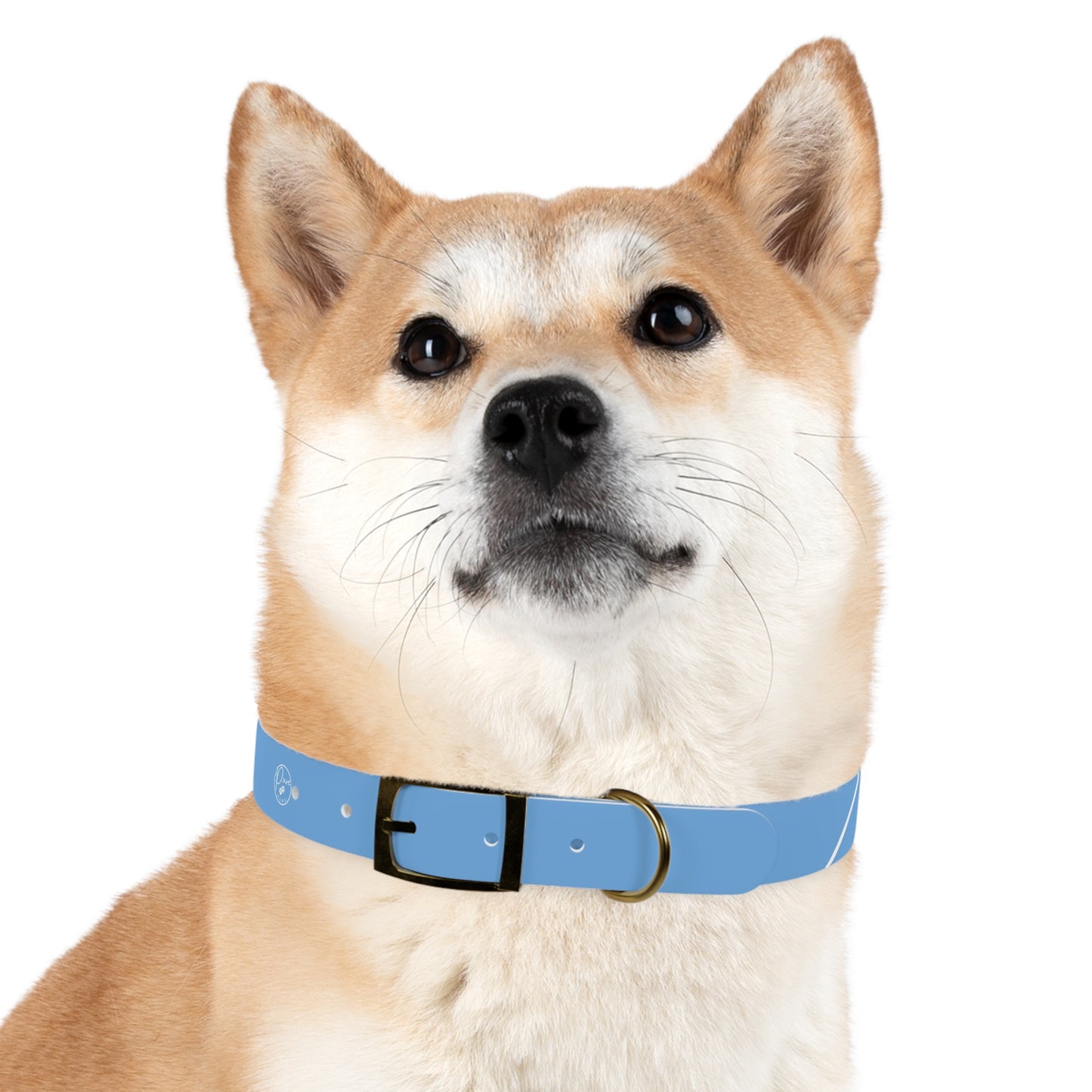 PurePaws | Hundehalsband für kleine & große Hunde - Personalized Pet Accessory, Customizable Dog Gear, Perfect for Dog Lovers, Gift for Pet Owners