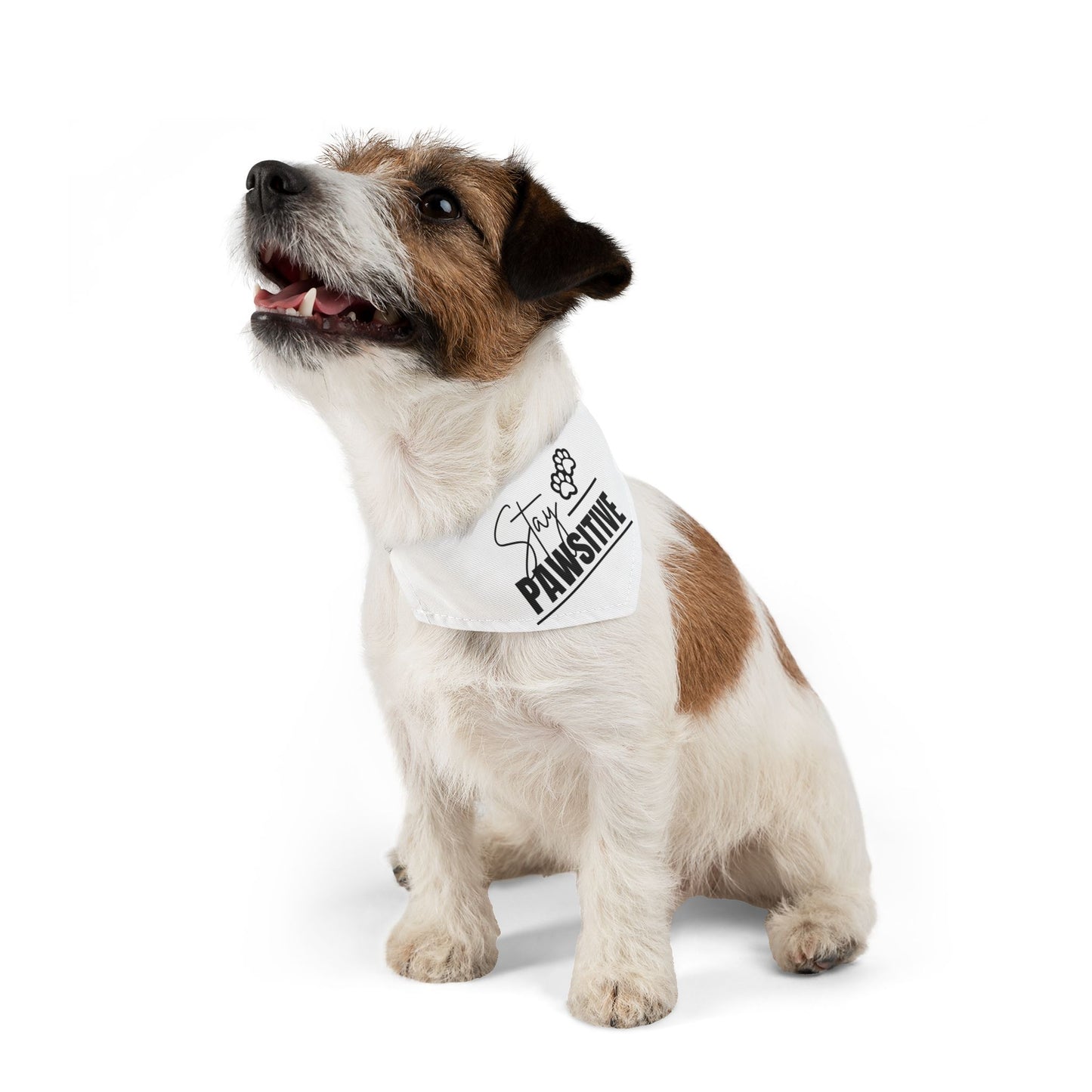 Stay Pawsitive Pet Bandana Collar | Cute Dog Accessory for Happy Pets, Dog Gifts, Pet Fashion, Fun Dogwear