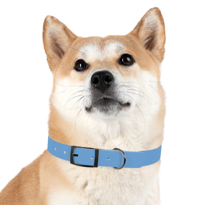 PurePaws | Hundehalsband für kleine & große Hunde - Personalized Pet Accessory, Customizable Dog Gear, Perfect for Dog Lovers, Gift for Pet Owners