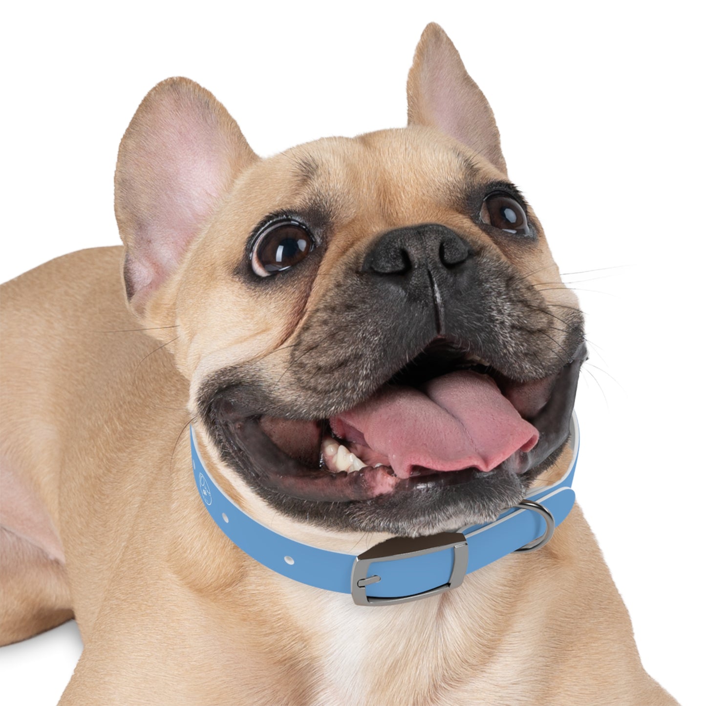 PurePaws | Hundehalsband für kleine & große Hunde - Personalized Pet Accessory, Customizable Dog Gear, Perfect for Dog Lovers, Gift for Pet Owners